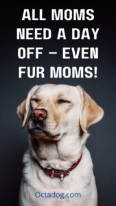 All Moms Need A Day Off – Even Fur Moms / Canva