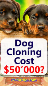 Dog Cloning Cost