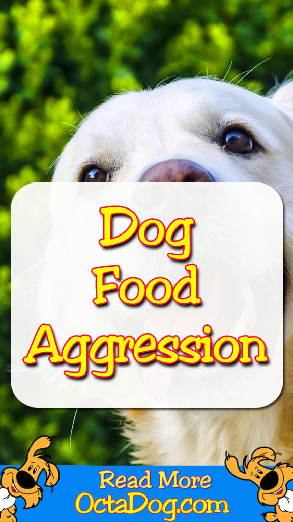 Agresión por la comida del perro