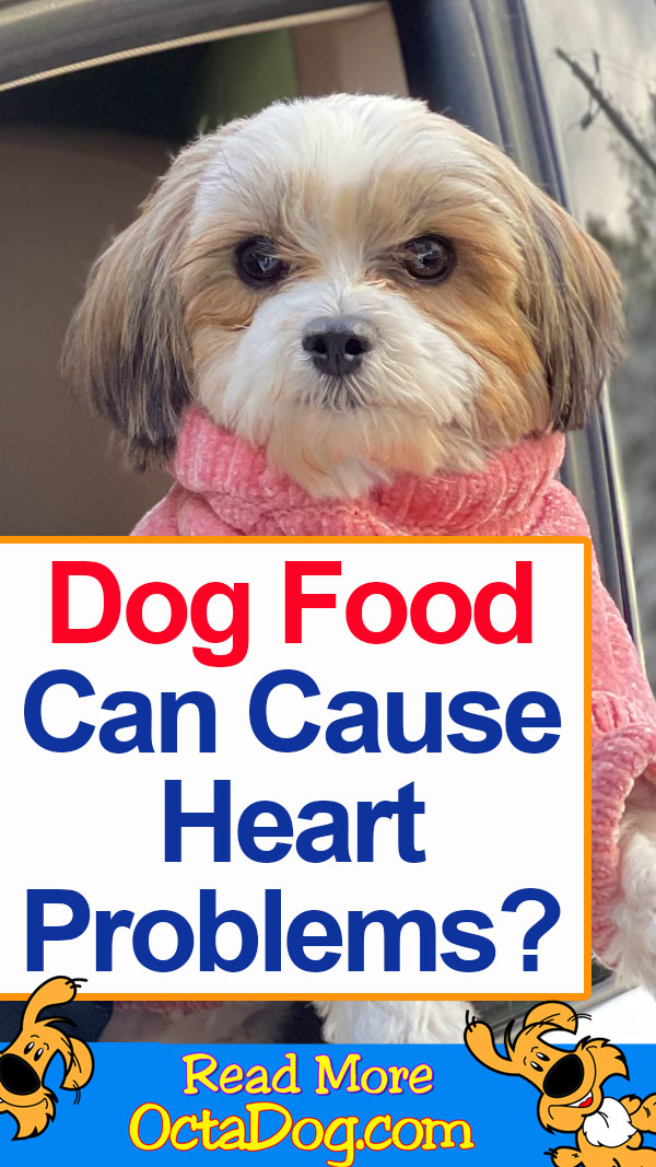 ¿Qué alimentos para perros pueden causar problemas cardíacos?