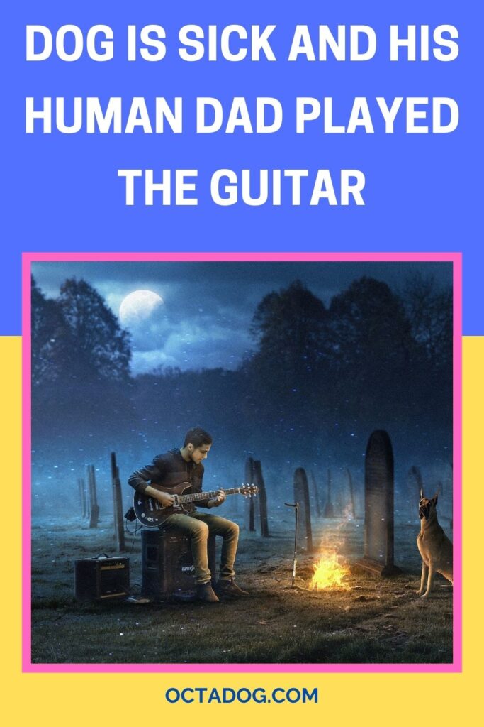 El perro está enfermo y su padre humano toca la guitarra