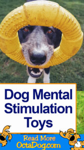 Dog Mental Stimulation Toys