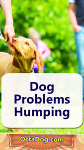 Dog Problems Humping