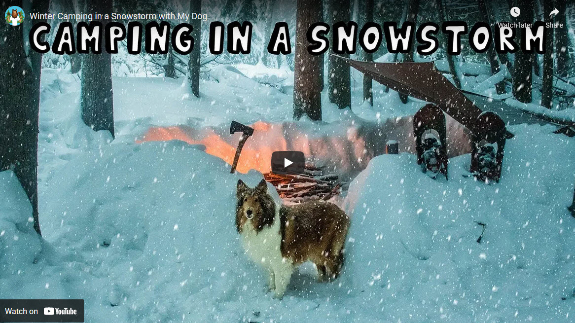 Acampada de invierno para perros
