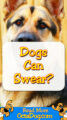 Dogs Can Swear?