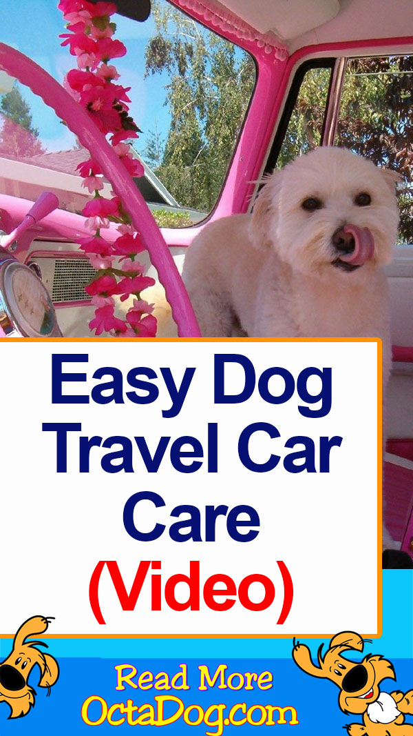 Easy Dog Travel Car