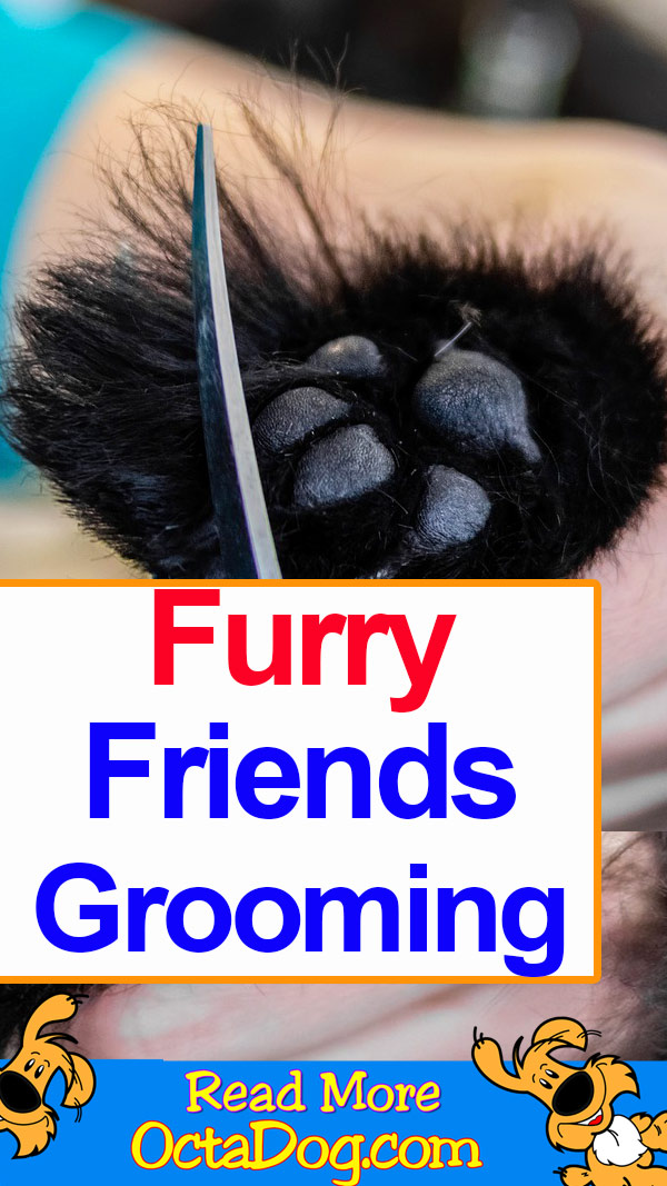 Furry Friends Grooming