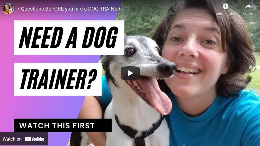 Estoy contratando al entrenador de perros adecuado? 🤔 ¿Cómo lo sé?