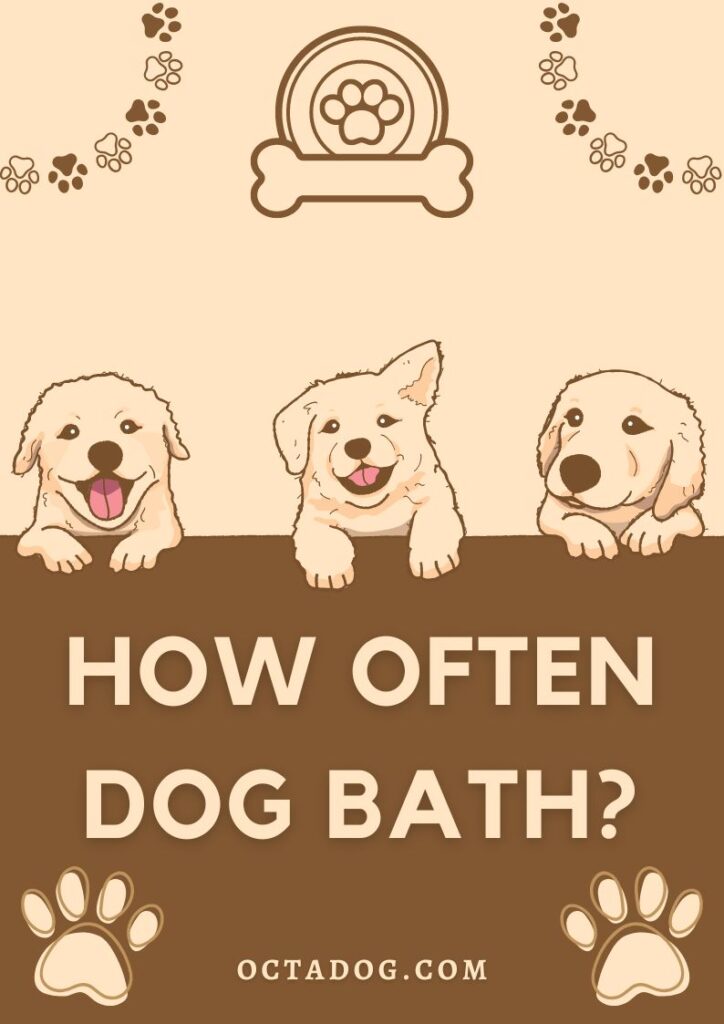 How Often Dog Bath