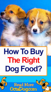How To Buy The Right Dog Food