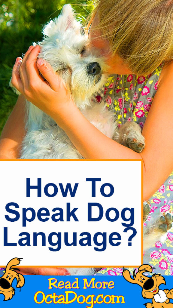Cómo hablar el lenguaje de los perros