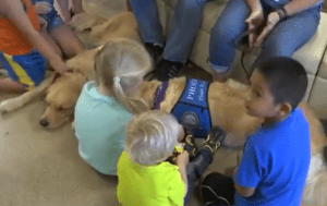 Therapy dogs visit Hurricane Harvey victims