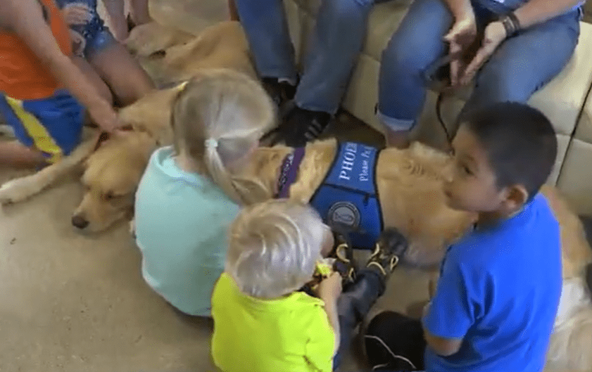 Las víctimas del huracán Harvey reciben la visita especial de tres perros de terapia (VIDEO)
