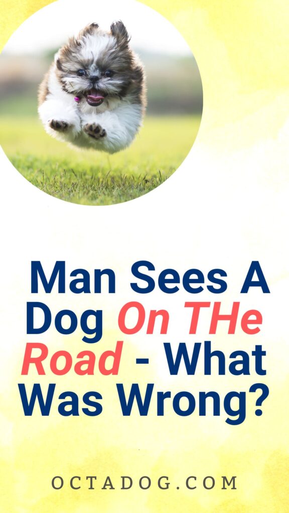 This Man Sees A Dog On THe road / Canva
