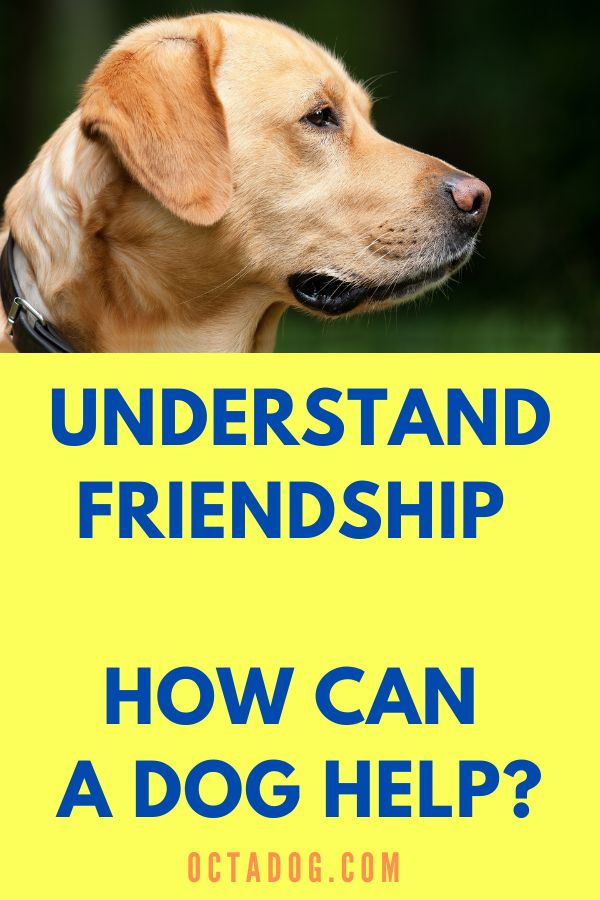 Understand Friendship
