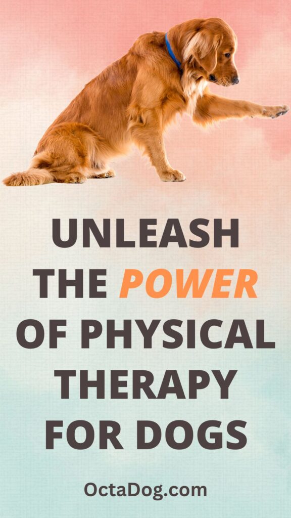 Unleash the Power of Physical Therapy for Dogs / Canva