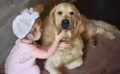 A police dog turns into a softie when around his human baby sister / Pixabay