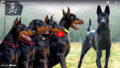 Intelligent Dog Breeds Ranking / Youtube