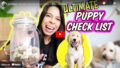 New Puppy checklist / Youtube