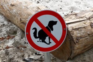 How often dog poop / Pixabay